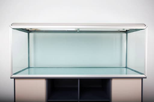 Original photo of a fish tank