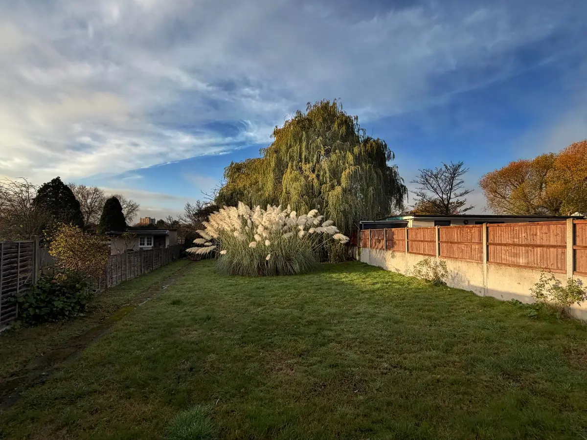 Backyard before the redesign